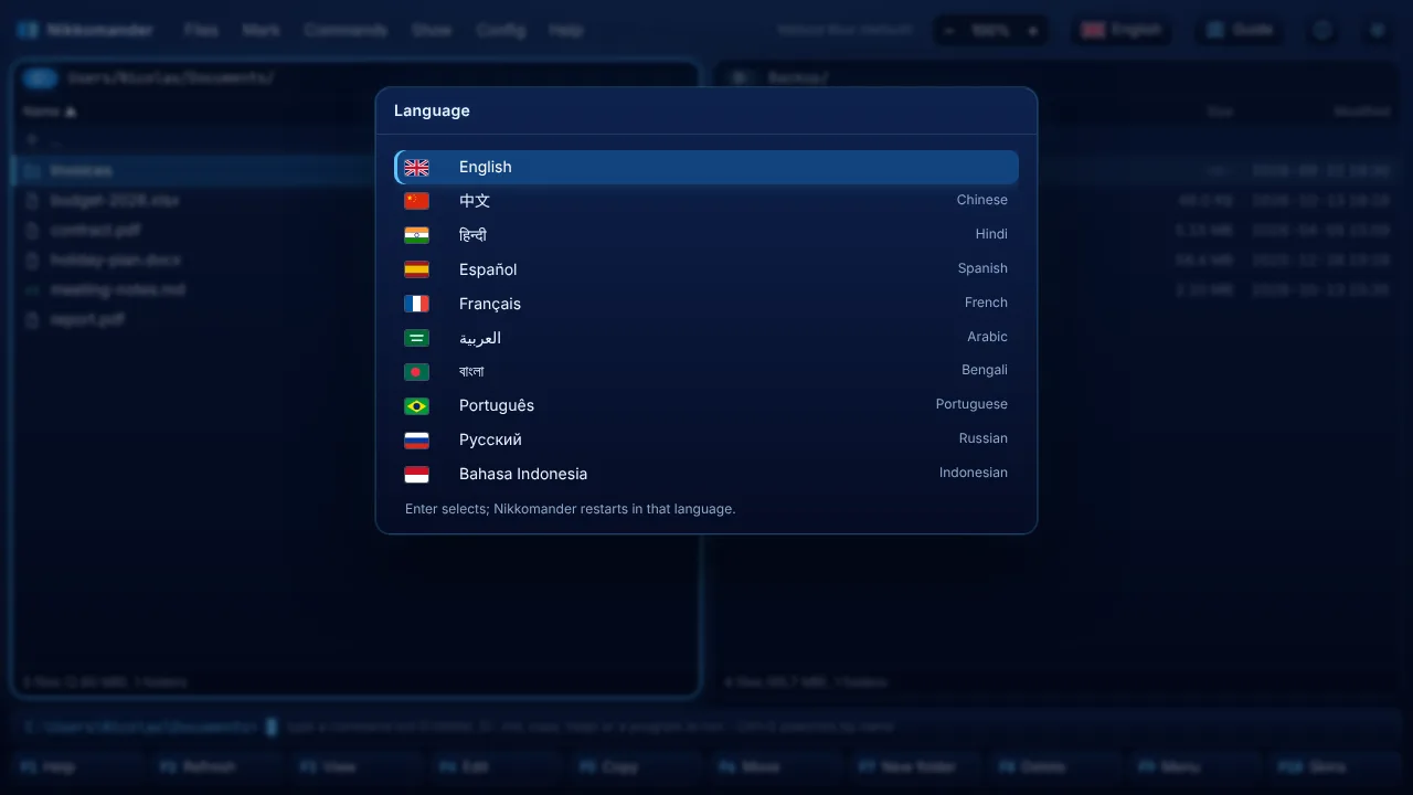 Choosing the language