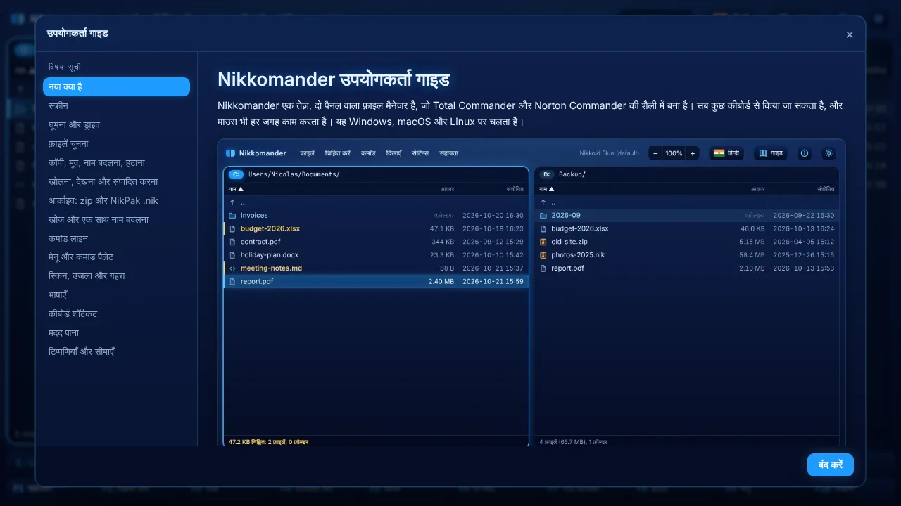 उपयोगकर्ता गाइड विंडो
