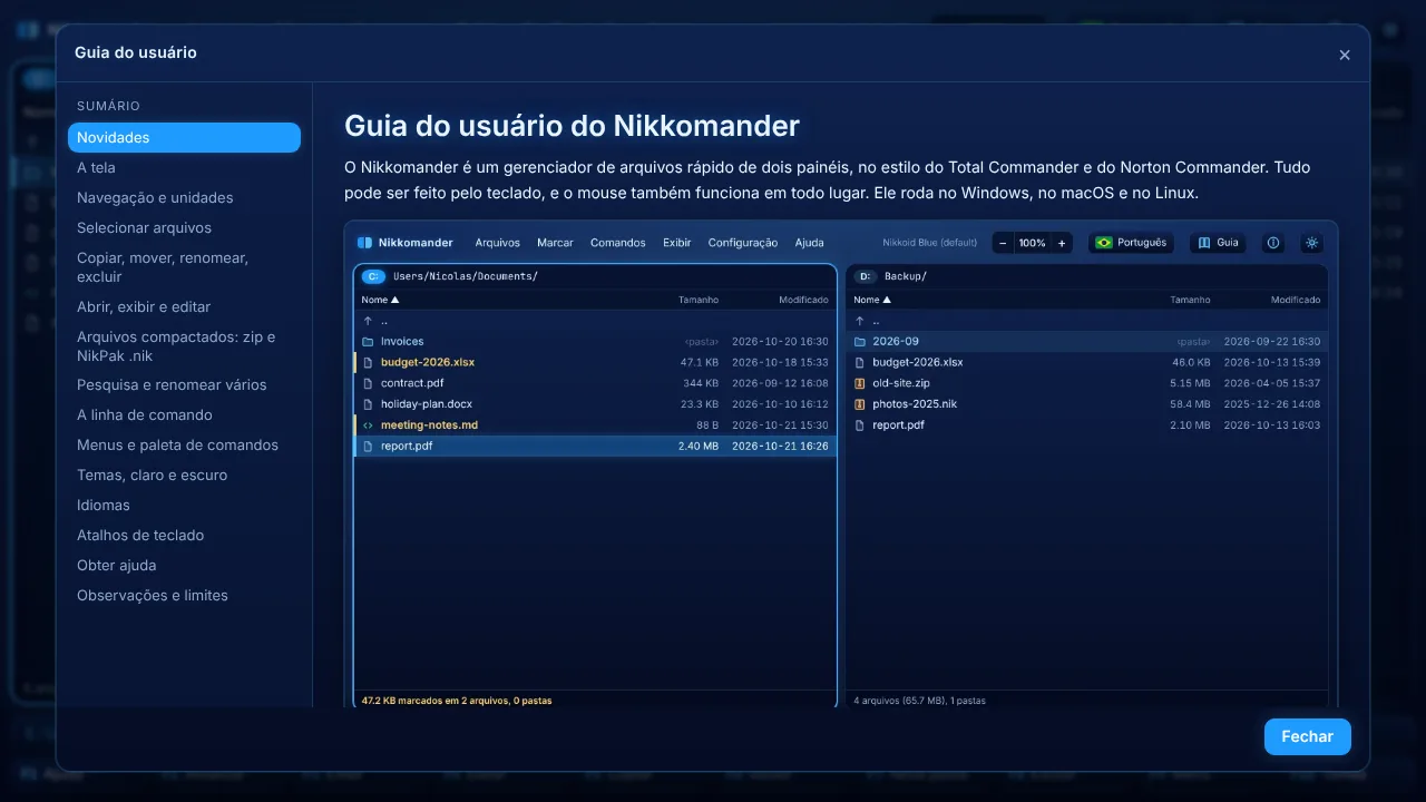 A janela do guia do usuário